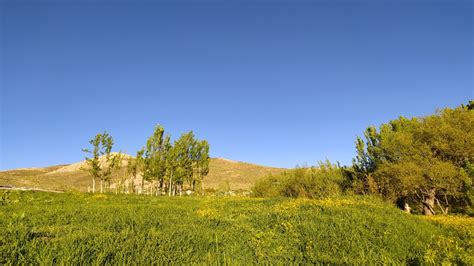 تصاویری زیبا از طبیعت بهاری در روستای چوبین