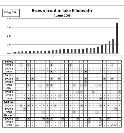 columns   chart represent od   times  average od