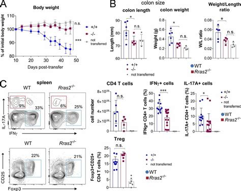 Adoptive transfer of CD25ˉ CD4 T cells from Rras2 mice to recipient