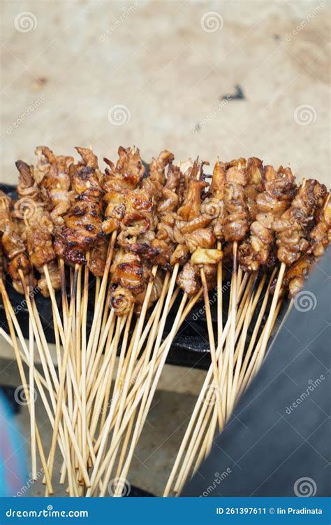 Chicken Satay On The Grill Delicious Indonesian Cuisine Stock Image