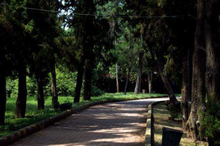 Lalbagh Garden Bangalore – Photo Tour-179 – Darpan Dodiya