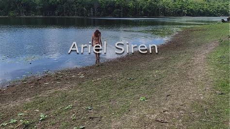 Kitchen Anal Search XNXX