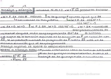 Conservaciones F Sicas Biotech Sg Sof A Gagliardi Udocz