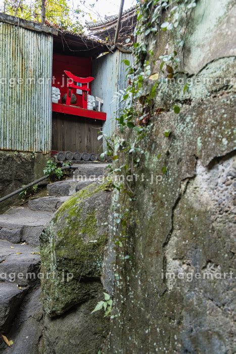 日本 広島県尾道市の猫の細道の写真素材 [212598716] イメージマート