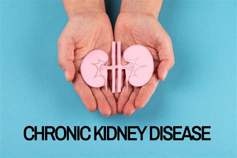 What is Chronic Kidney Disease? Expert Reveals Major Symptoms, Causes And