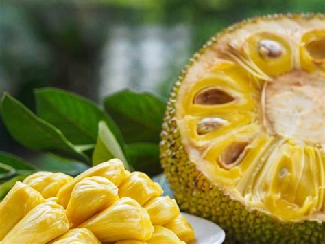 What Not Eat After Eating Jackfruit कटहल खाने के बाद कभी न खाएं ये 6