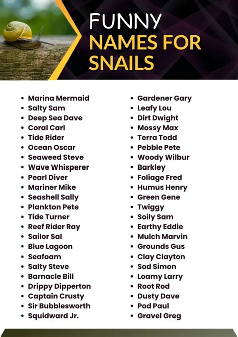 Need A Funny Snail Name We Ve Got The Goods