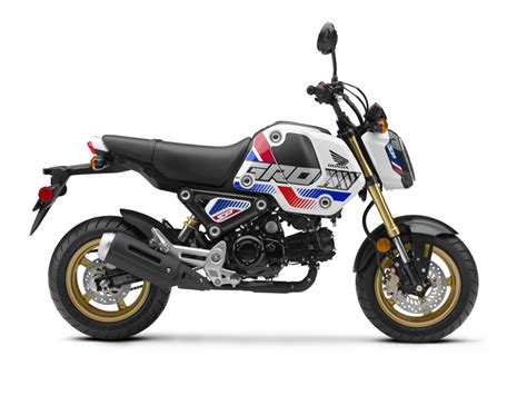 2022 Honda Grom First Look Review Rider Magazine