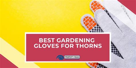 The Best Gardening Gloves For Thorns A Buyers Guide