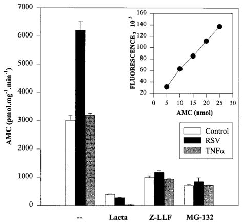 26S Proteasome Activity After Treatment And In The Presence Of