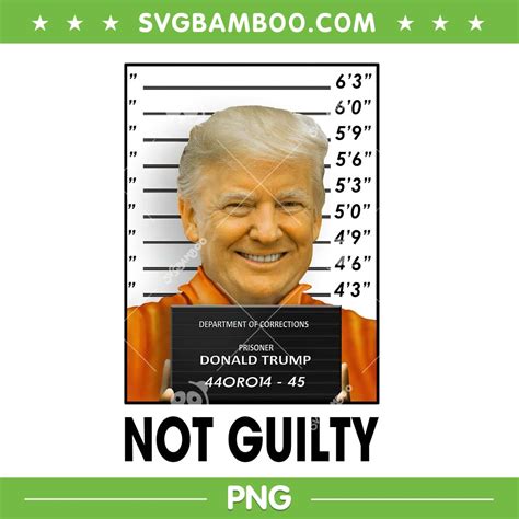 trump  guilty png trump mugshot png