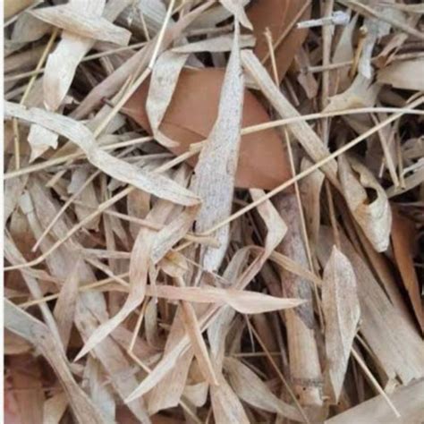 Jual Daun Bambu Kering Kemasan Gram Untuk Media Tanam Shopee