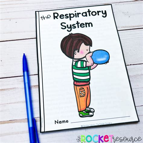 Classroom Activities For The Respiratory System The Rocket Resource