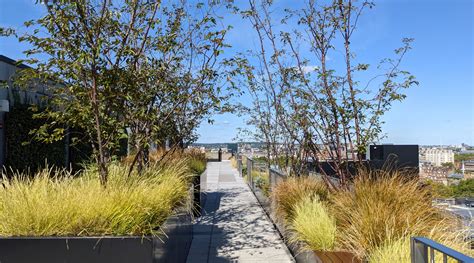 A Free Roof Garden Has Opened In Central London