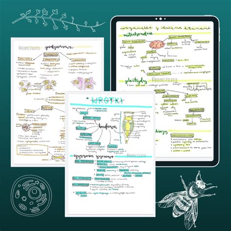 Część I notatki do matury biologia rozszerzona Ośrodek