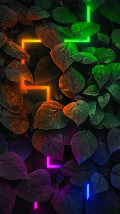 Neon Leaves Wallpapers 4k Hd Neon Leaves Backgrounds On Wallpaperbat