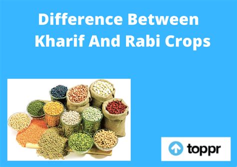 Difference Between Kharif And Rabi Crops in Tabular Form