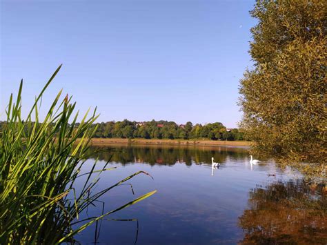 Twistesee Ferienhaus Waldkauz