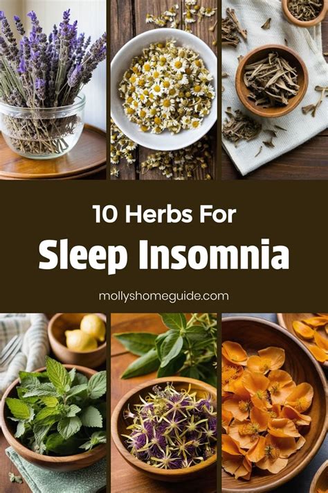 herbs  sleep insomnia herbs  sleep herbal remedies recipes