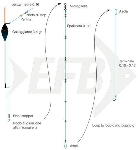 Bolognese Montatura Con Galleggiante Scorrevole Elba Fishing Blog