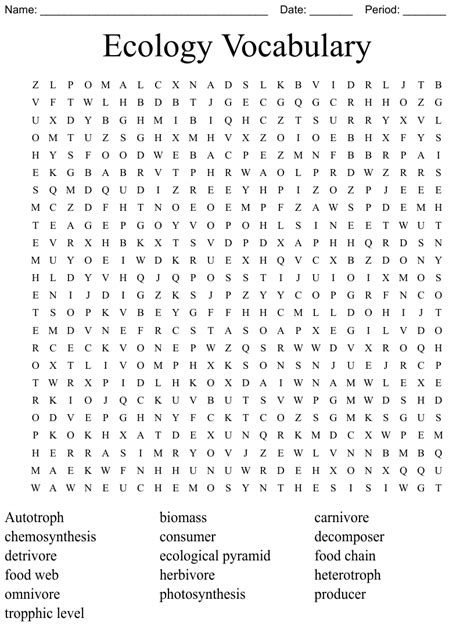 Ecology Vocabulary Word Search WordMint