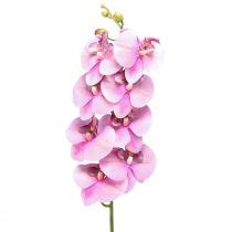 Floristik Fr Orchid E Phalaenopsis Artificielle Fleurs Rose Cm