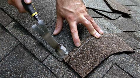 The Importance Of Roof Repair Cambie Roofing Contractors