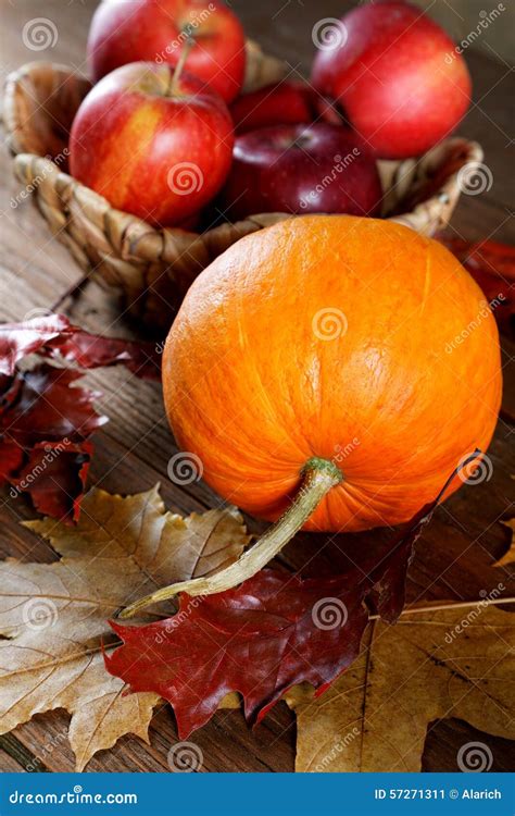 Autumn Still Life With Apples And Pumpkins Stock Image Image Of