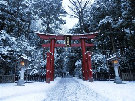 弥彦神社（彌彦神社）｜東北の観光スポットを探す 旅東北 東北の観光・旅行情報サイト