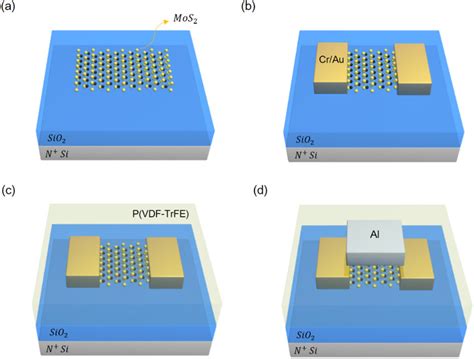 Schematic Process Flow Of Fabricating 2D NCFET A Mechanically