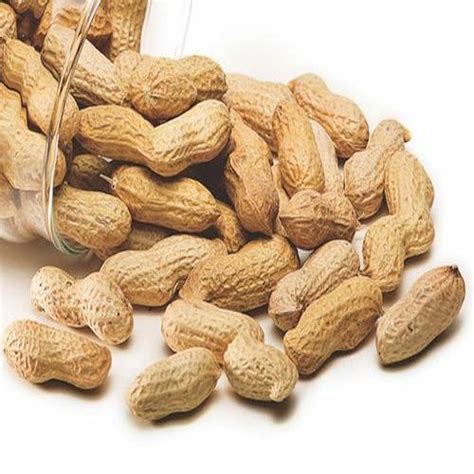 Buy Fresh Groundnut (Mungfali) online from shops near you | LoveLocal