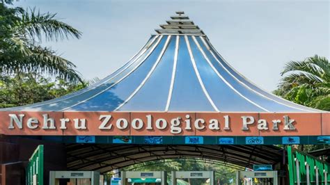 Best Time To Visit Nehru Zoological Park (Hyderabad) In 2024