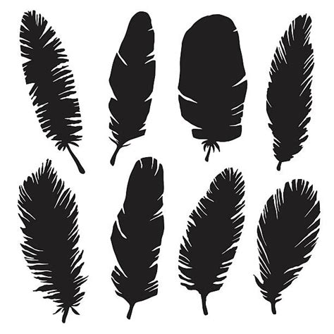 Turkey Feather Silhouette Svg