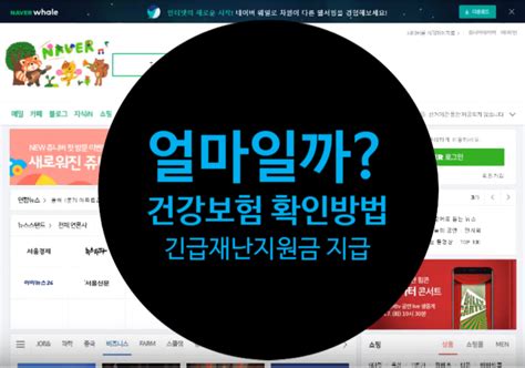 국민 건강보험료 조회방법으로 알아보는 긴급재난생계지원금 대상자 기준나의 건보료 얼마 네이버 블로그