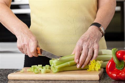 Chopping vegetables stock photo. Image of housework, food - 38210830