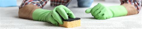 Remove and Replace Your Moldy Carpet | American Family Insurance