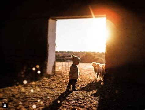 Pin En Luz Y Fotografía Tips Inspiración Y Cursos Online