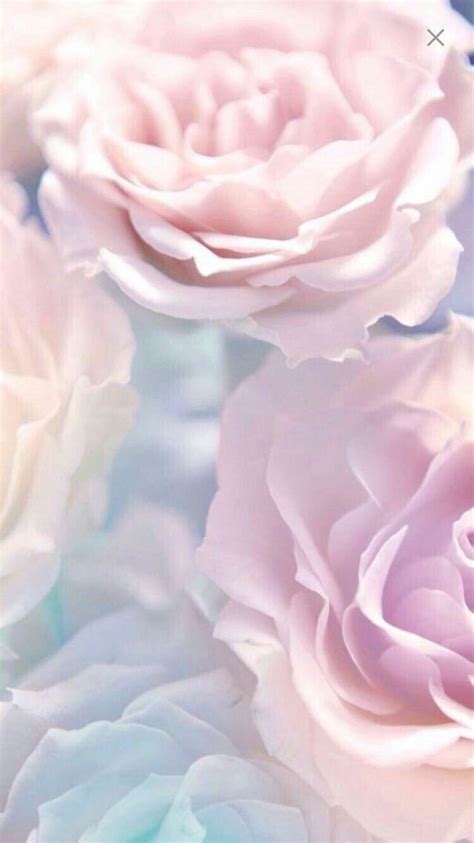 Pastel Flower Wallpapers Top Free Pastel Flower Backgrounds