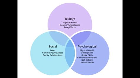 What Is Biopsychosocial Model Youtube