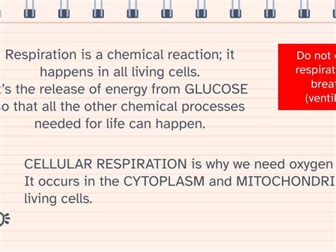 Cellular Respiration A Level Teaching Resources