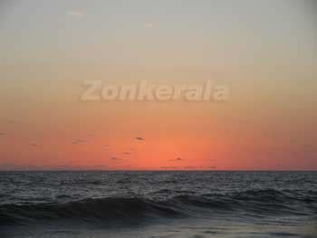 Cherai Beach Photos