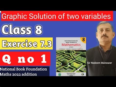 Class 8 Exercise 7 3 Q No 1 NBF Maths Ex 7 3 Graphical Solution Of