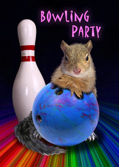 Bowling Party Squirrel Photograph By Jeanette K Fine Art America