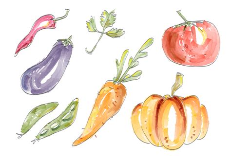 Watercolor Vegetables Vector Set Illustration 235364 Vector Art at Vecteezy