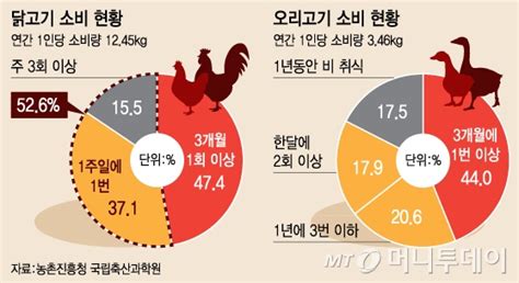 1주 1치킨 소비자 53 닭고기 주 1회 이상 섭취 머니투데이