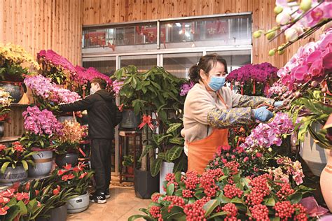 花卉市场年味渐浓 溧阳日报