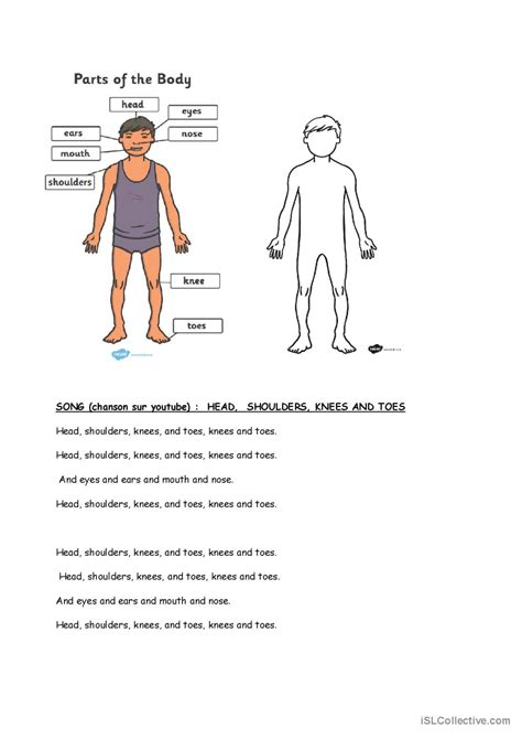 Head, shoulders, knees and toes son…: English ESL worksheets pdf & doc