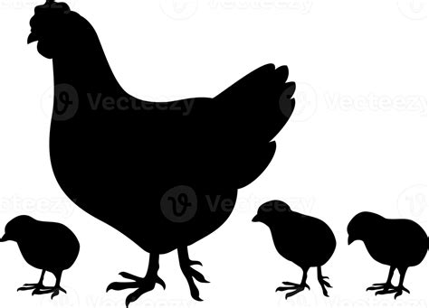 Mama Hen And Baby Chicks Mom Chicken Farm Design Png Illustration