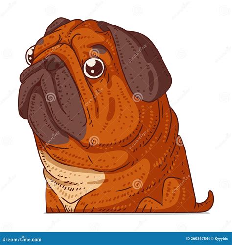 Confused Pug Isolated Vector Illustration Funny Cartoon Picture Of A