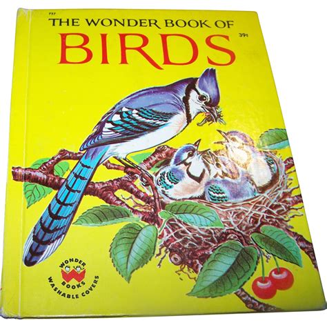 The Wonder Book Of Birds Washable Covers 1961 Victorias Purrrrfect